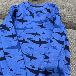 Speedo bathing suit. Good condition. Worn twice and packed it away. Size large.